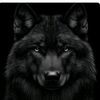 legend__1213
