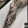 flavinhoca
