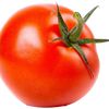 tomate245.0