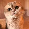 marta.cat1
