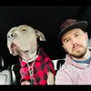 romanthehousehippo