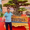mr_doi_bonsai
