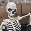 carotidbody