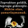seva..85