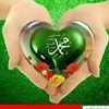 yaaallah227