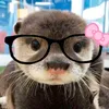 mytienn_1903