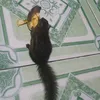 tinhdola8