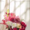 zainabfali316
