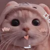 Chúa tể đồ