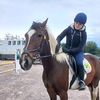 that.stupid.horse.rider