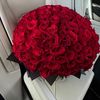 aseel_aso20