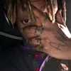 davihz11