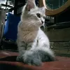 imightbejohn