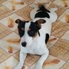 lucy83306