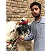 uzair_cricket_lover_123