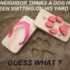wheremeso6