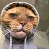 mogza96