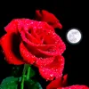 estefaniacruz581