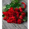user4664030016974
