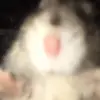 clmcenter