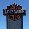 harley_steve73