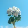 xjythmryx