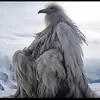 jonnysinsgaming2