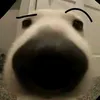 cuocsongmakkkk