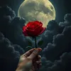 dy8mk5zbbjd8