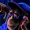 All Songs Lyrics