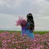 asterahabib0