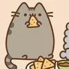 catfxn