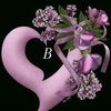 user7996511597147