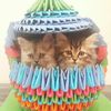 kitlose