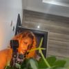 ijeoma0110