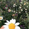 user8001900572765