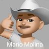 molinaamario1967