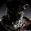 darkaura.fx