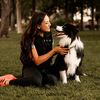 renotahoedogtraining