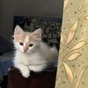 mona.mohamed059