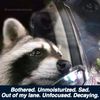 somethingoriginallol