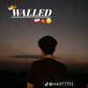 waleedahmad0726