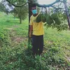 chaihuattanchaihu