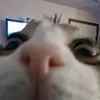 mrbanban