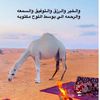 saadk878f