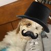 ducknapper69