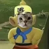 ng_bao_loi