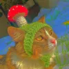 .strawberiiu
