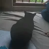 oqkkqjajakajajaja