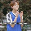 sembilanenam.v